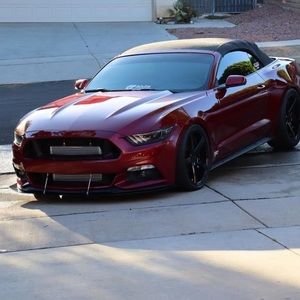 Meet your Posher, Rex